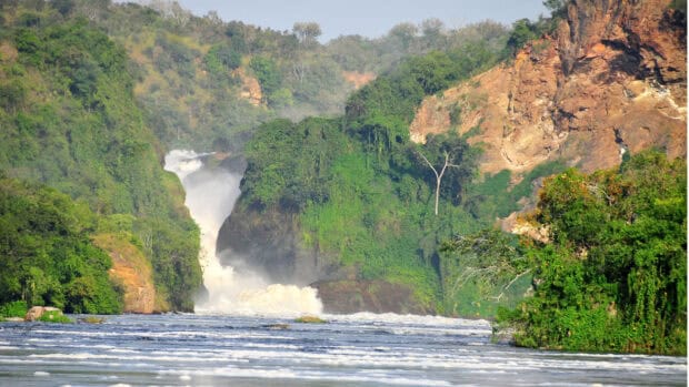 A river flows through a lush green forest with a waterfall in Uganda, HD Desktop Wallpaper