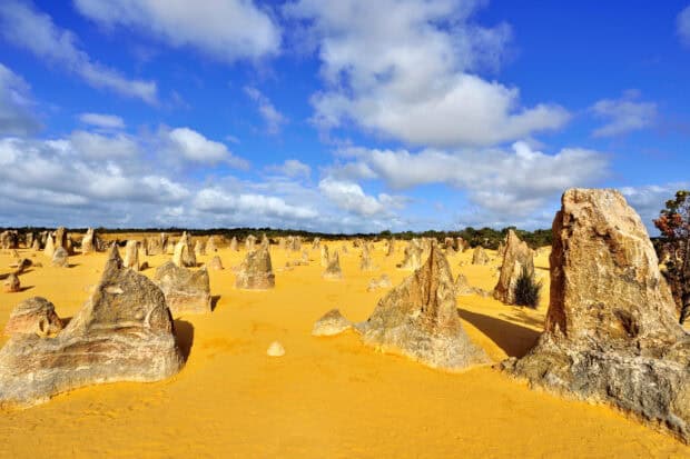 The golden sand and limestone pillars shine under the blue sky in Nambung National Park, HD Desktop Wallpaper
