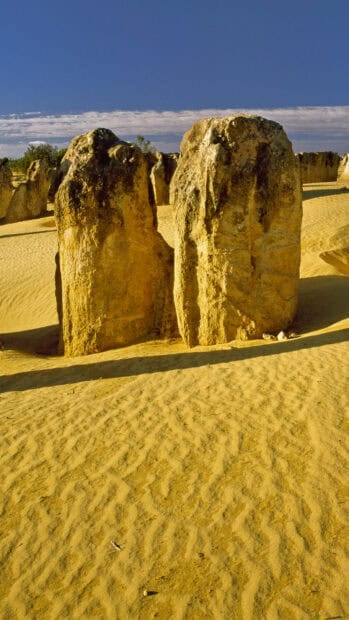 The tall limestone pillars are a prominent feature in Nambung National Park landscapes, HD Phone Wallpaper