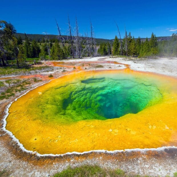A vibrant hot spring with colorful mineral deposits is featured in Yellowstone National Park, HD Desktop Wallpaper