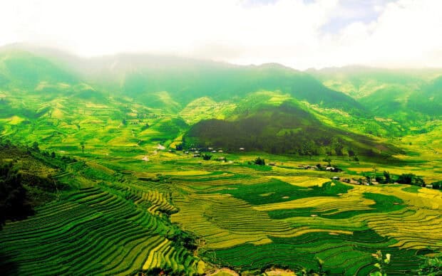 Vietnam Wallpapers capture vibrant rice fields in mountain valleys, 2K Desktop Wallpaper