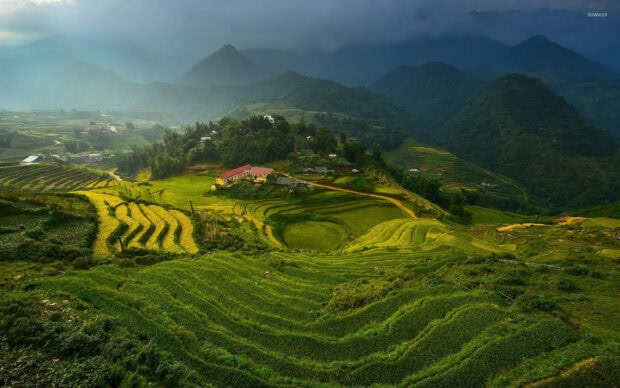 Vietnam Wallpapers show terraced fields and hills under a cloudy sky, HD Desktop Wallpaper