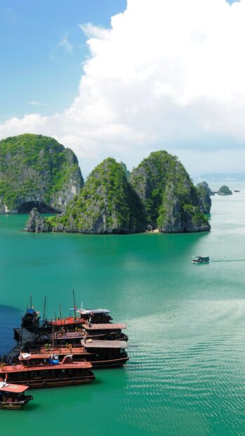 A peaceful view of Vietnam wallpapers showing boats and lush green islands on the water, 2K Mobile Wallpaper