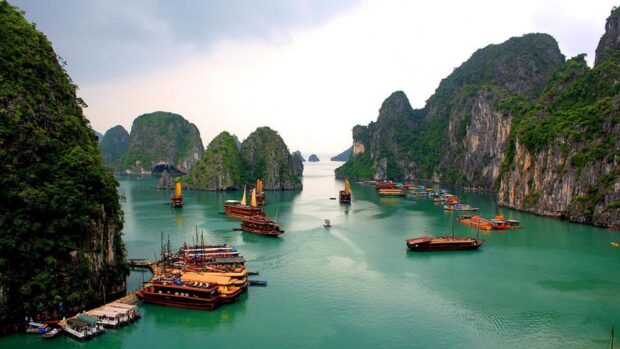 The Vietnam Wallpapers show traditional boats sailing near lush green limestone islands, HD Desktop Wallpaper