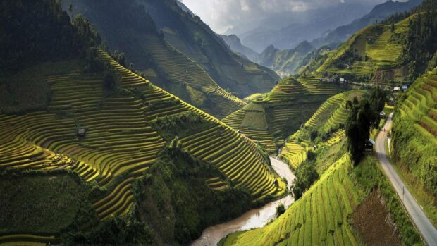The Vietnam Wallpapers display terraced rice fields along a river in a mountainous region, HD Desktop Wallpaper