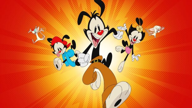 The Warner Bros characters are joyfully running on a vibrant burst background, 4K Desktop Wallpaper