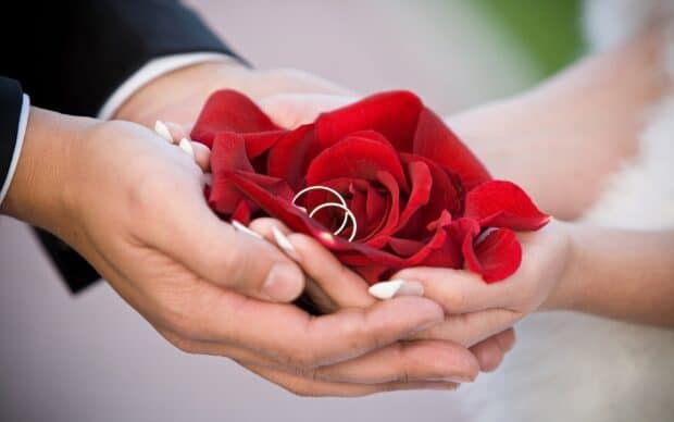 A couple holds wedding rings surrounded by red rose petals in their hands, 2K Desktop Wallpaper