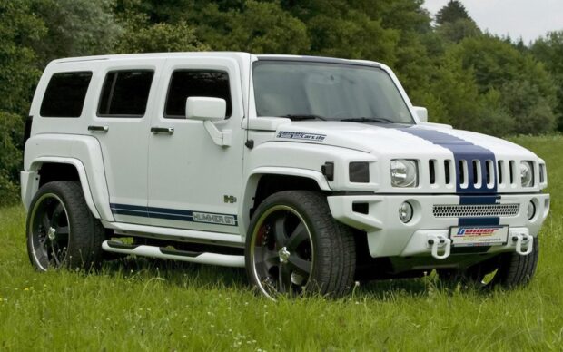 A white Hummer H3 with blue stripes is parked on green grass in front of trees, HD Desktop Wallpaper