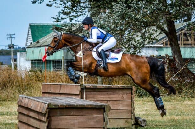 A woman is competing in an eventing competition riding a horse over a wooden obstacle, HD Desktop Wallpaper