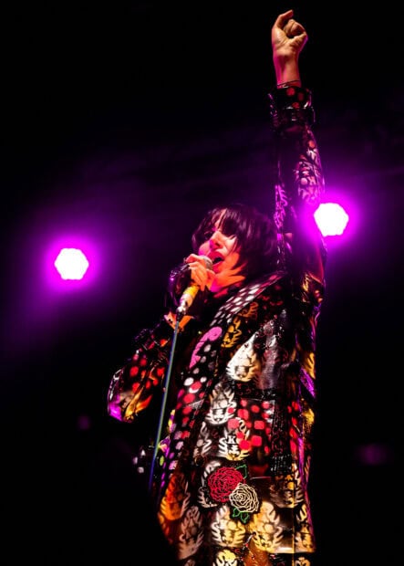 A singer from Yeah Yeah Yeahs performs passionately on stage with purple lights, HD Mobile Wallpaper