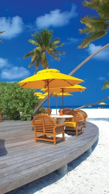 Bright yellow umbrellas shading chairs on a sandy tropical beach with palm trees, 4K Phone Wallpaper
