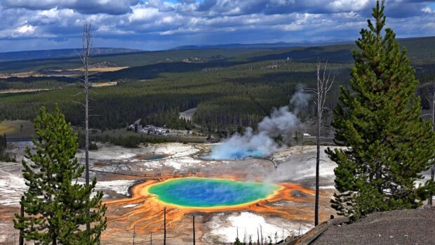 The vibrant hot spring in Yellowstone National Park is surrounded by pine trees and steam rises from it, 4K Desktop Wallpaper
