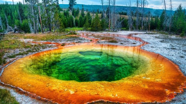 A vibrant hot spring with green and orange hues surrounded by forest in Yellowstone National Park, HD Desktop Wallpaper