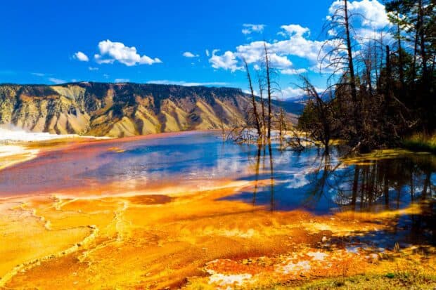 Yellowstone National Park features vivid hot springs and colorful deposits under a bright sky, HD Desktop Wallpaper