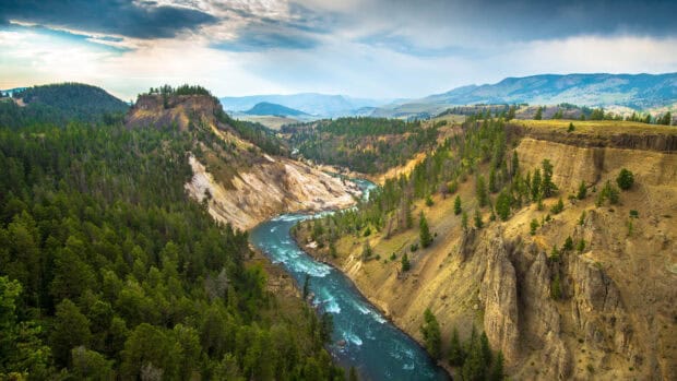A winding river flows through Yellowstone National Park surrounded by cliffs and pine trees, 4K Desktop Wallpaper