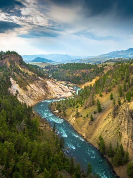 A clear river cuts through the forested valley in Yellowstone National Park under a cloudy sky, HD Mobile Wallpaper