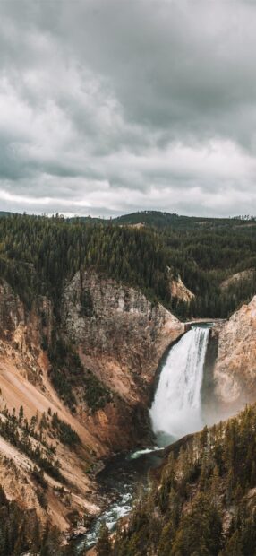 The Yellowstone National Park waterfall flows through a forested canyon under a cloudy sky, HD Phone Wallpaper