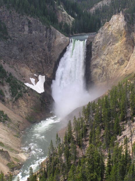A large waterfall flows into the river surrounded by forests in Yellowstone National Park, HD Mobile Wallpaper