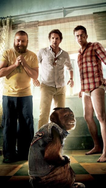 Zach Galifianakis wallpapers show three men and a monkey in an indoor setting, 2K Mobile Wallpaper