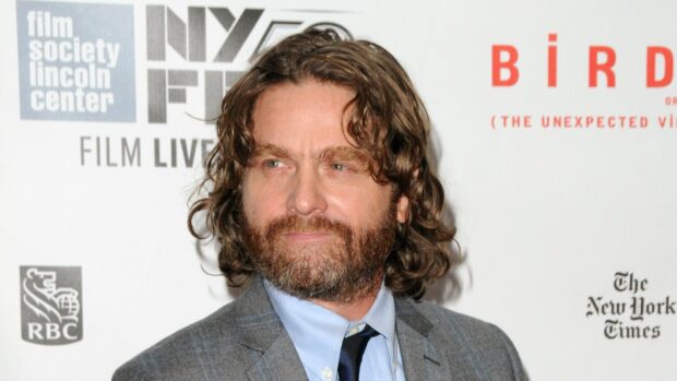 Zach Galifianakis wears a gray suit and tie at a film society event, HD Desktop Wallpaper
