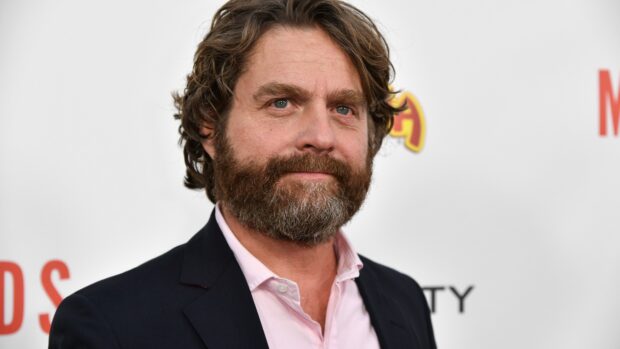 Zach Galifianakis smiles with a beard and curly hair at an event, 4K Desktop Wallpaper