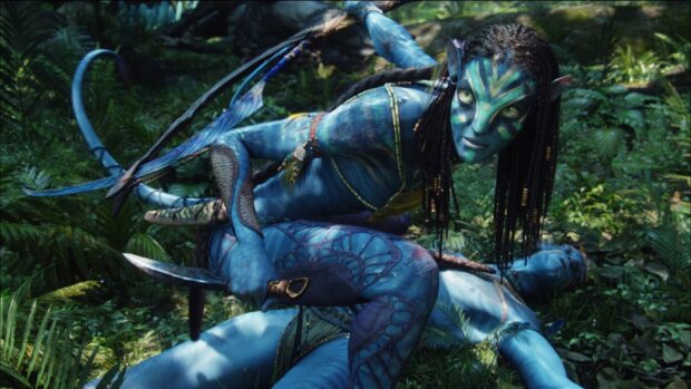 Zoe Saldana as a Na'vi character crouching over another Na'vi in a forest setting, HD Desktop Wallpaper