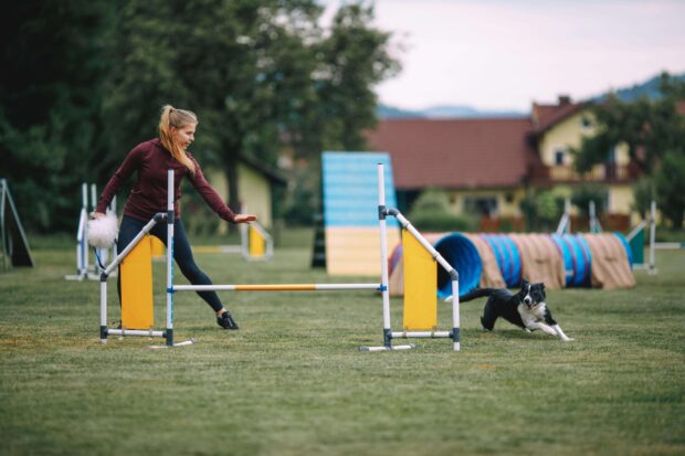 A dog enthusiast trains her dog in an outdoor dog sports activity, 2K Desktop Wallpaper