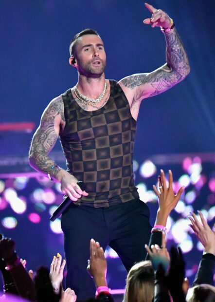 Adam Levine is singing passionately during a concert with fans reaching out, HD Desktop Wallpaper