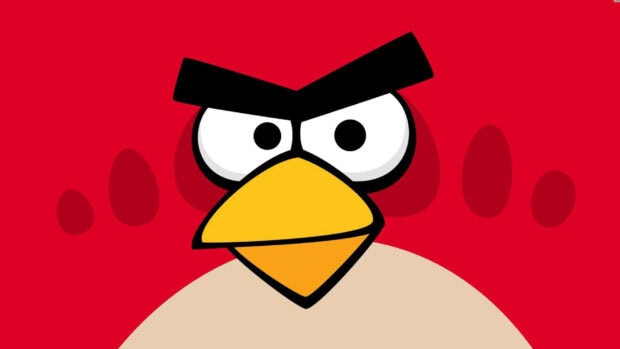 Cận cảnh nhân vật Angry Birds với nền đỏ, Hình nền máy tính HD