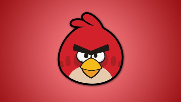 Nhân vật chú chim đỏ giận dữ trong Angry Birds thể hiện vẻ mặt dữ tợn, Hình nền máy tính HD