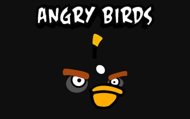 Nhân vật Angry Birds được thể hiện với biểu cảm dữ dội trên nền đen, Hình nền máy tính HD