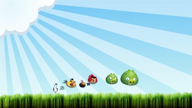 Các nhân vật Angry Birds đang bay trên bãi cỏ xanh dưới bầu trời xanh trong, Hình nền máy tính HD