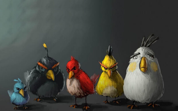 Năm nhân vật Angry Birds tạo dáng trong bối cảnh tối với màu sắc riêng biệt, Hình nền máy tính HD