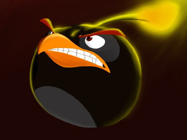Cận cảnh nhân vật Angry Birds với biểu cảm dữ dội, Hình nền máy tính HD