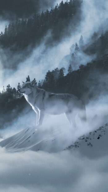 Arctic wolf standing on snowy hill surrounded by fog and pine trees