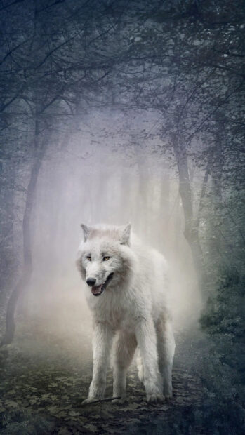 Arctic wolf standing on the forest ground in a misty environment