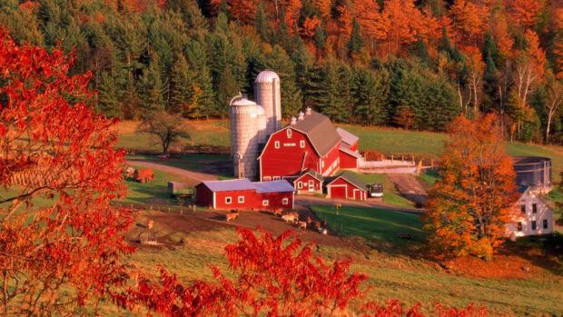 A red farm building stands surrounded by colorful autumn trees in Vermont, 2K Desktop Wallpaper