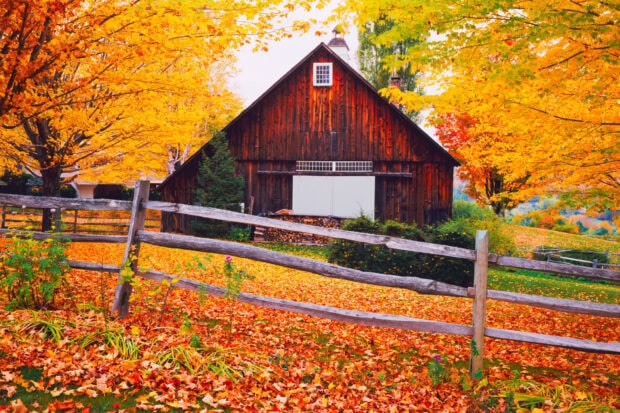 A rustic barn surrounded by colorful autumn leaves in Vermont scenery, HD Desktop Wallpaper