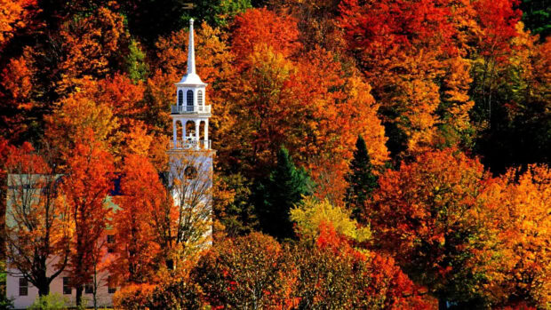 A white church steeple stands amid vibrant fall foliage in Vermont, HD Desktop Wallpaper