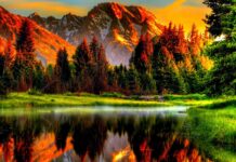 The sunset lights up the autumn forest scenery with vibrant colors by the lake, HD Desktop Wallpaper