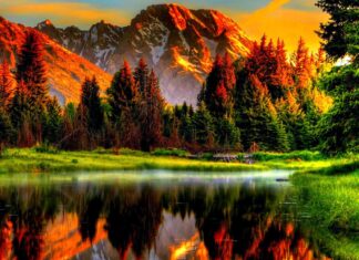 The sunset lights up the autumn forest scenery with vibrant colors by the lake, HD Desktop Wallpaper
