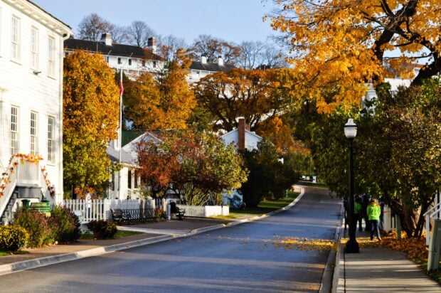 A peaceful street in Mackinac Island shows autumn trees with colorful leaves and white houses, 2K Desktop Wallpaper