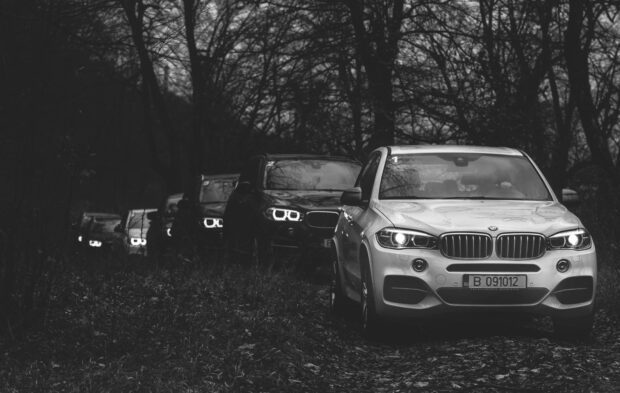 A line of BMW X5 vehicles drives through a dark forest path with headlights on, HD Desktop Wallpaper