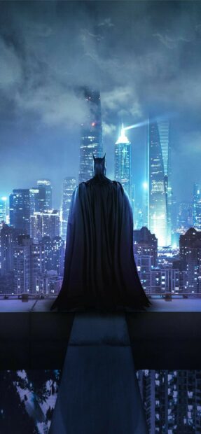 Batman from Batman Arkham City is standing on a rooftop overlooking a futuristic cityscape at night