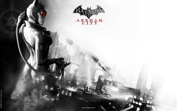 Catwoman character from Batman Arkham City standing over the cityscape at night