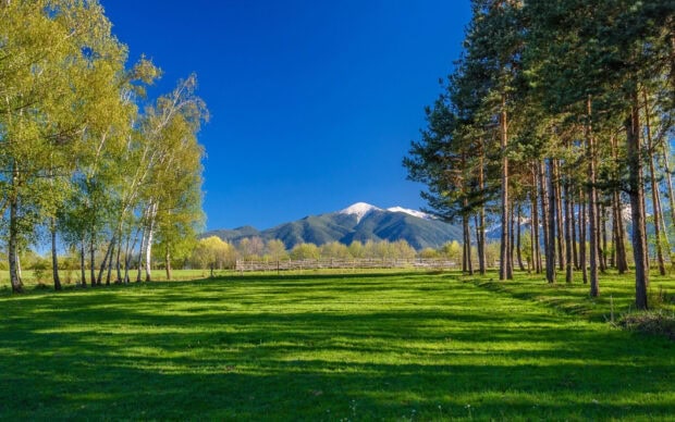 A green field with trees and snow capped mountains under a clear blue sky featuring Bulgaria Wallpapers