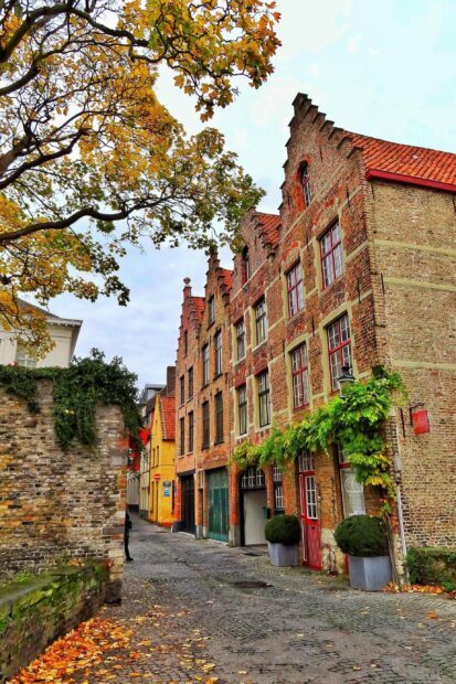 Autumn leaves on trees along cobblestone street with historic Belgium buildings