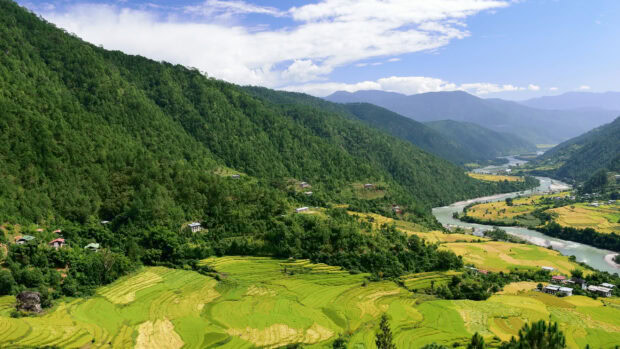 Lush green hills and terraced fields in Bhutan with a river flowing through the valley