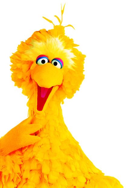 Big Bird from Sesame Street Wallpapers is smiling brightly on a white background, HD Mobile Wallpaper
