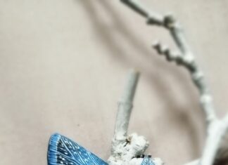 Blue butterfly perched on white dried branch.